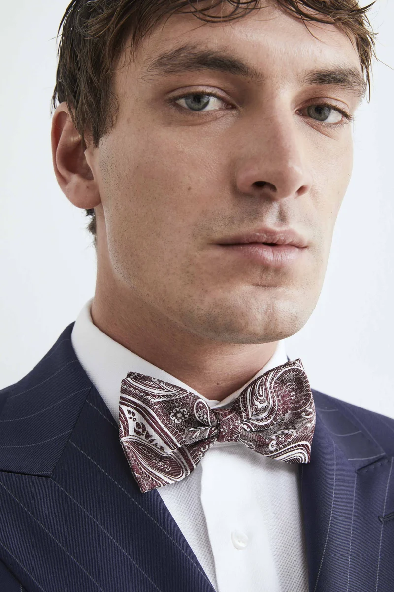 Papillon fantasia paisley - FANT. BORDEAUX