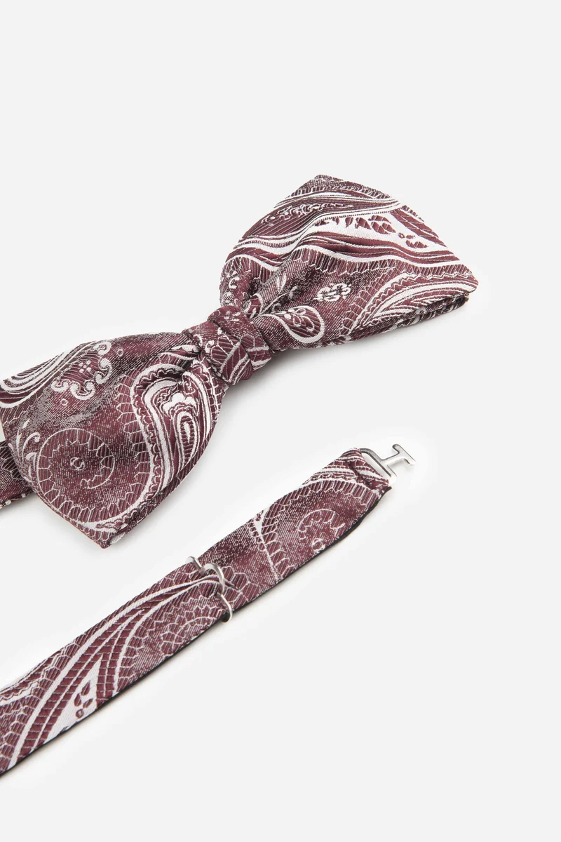Papillon fantasia paisley - FANT. BORDEAUX