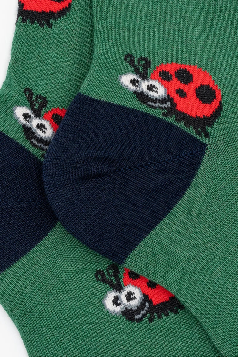 Calze Lunghe Coccinelle in Cotone - VERDE