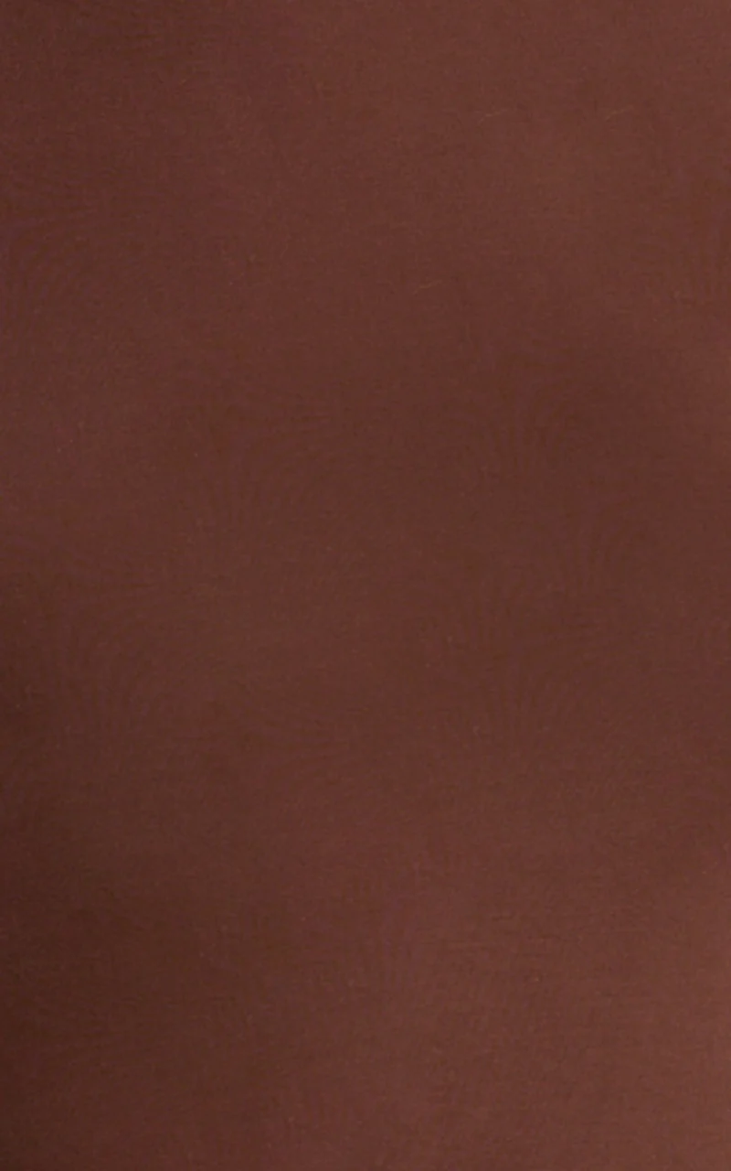 Caitlyn Top - High Neck Sleeveless Tank Top in Chocolate
