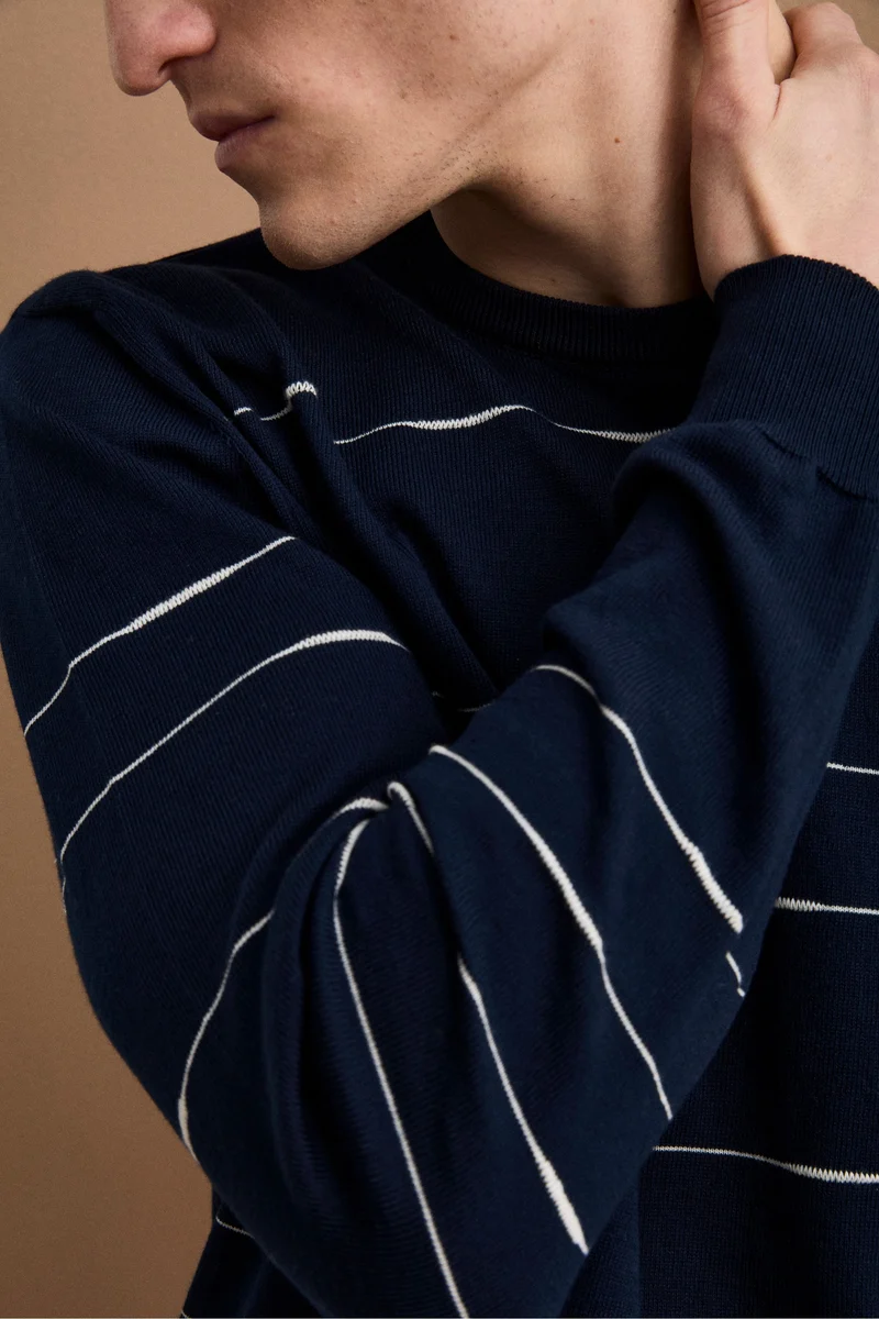 Maglia Girocollo a Righe Regular Fit in Cotone - BLU/BIANCO
