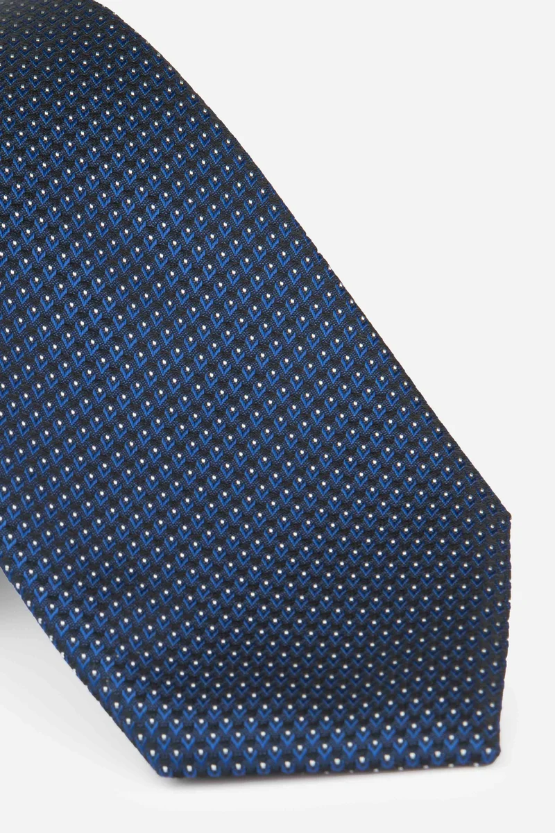 Cravatta pois - POIS fondo BLU