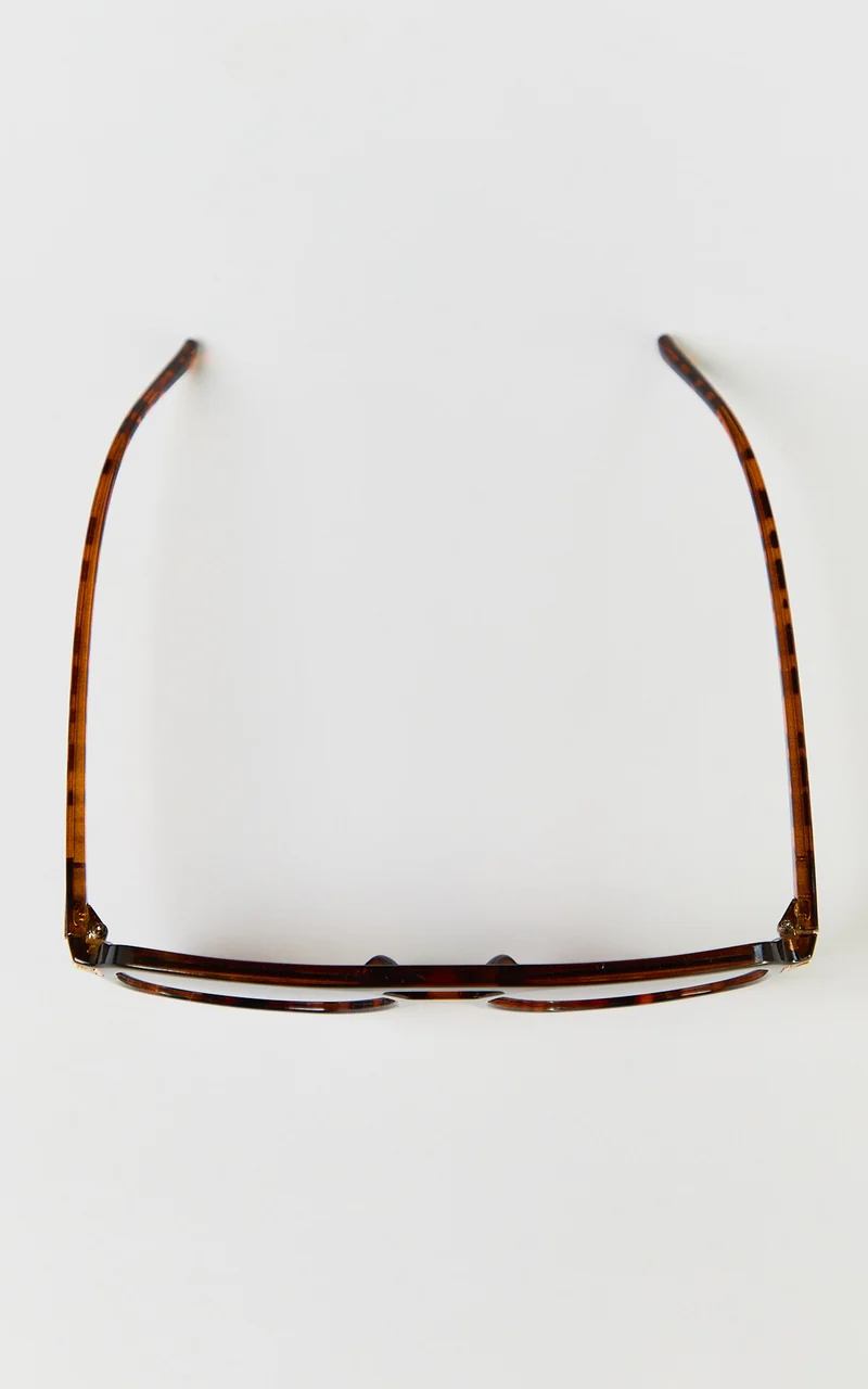 Vera Sunglasses - Square Sunglasses in Torte