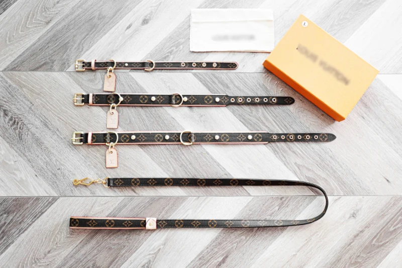 Leather Collar & Lead Set
