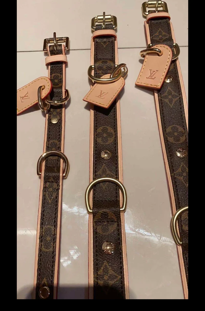 Leather Collar & Lead Set