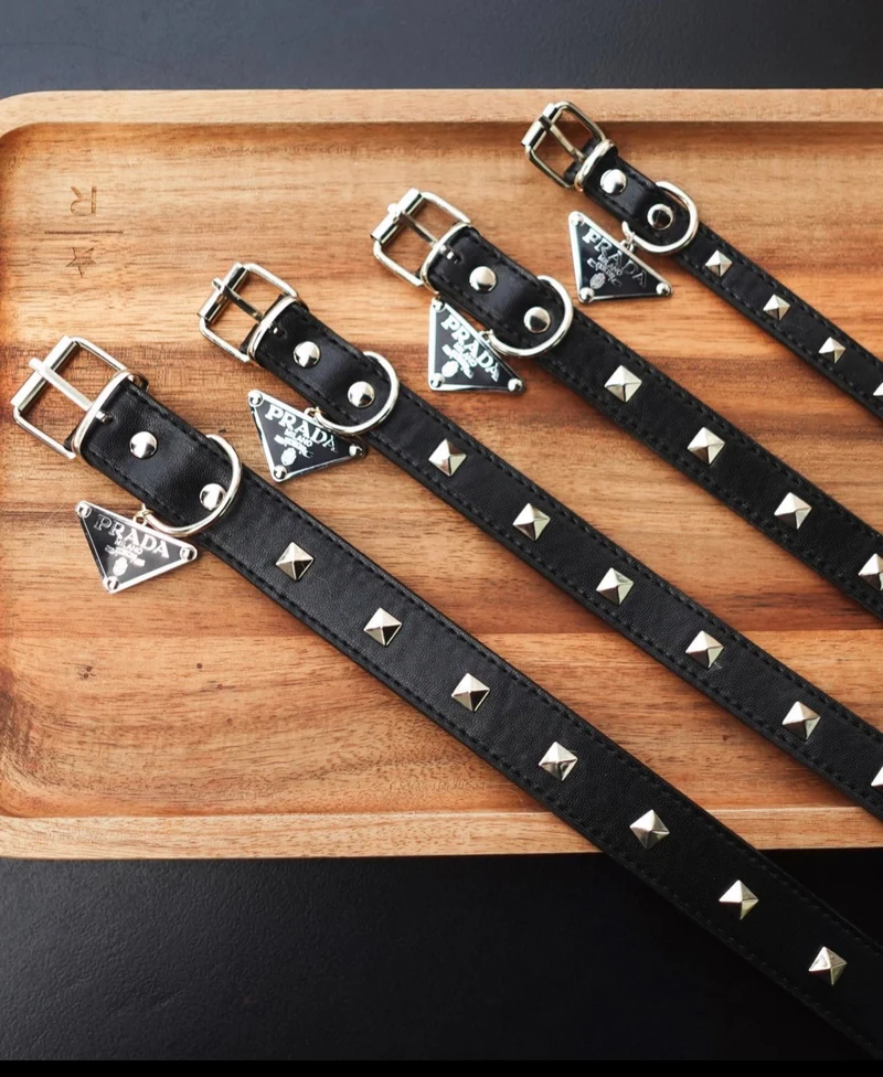 Black Leather Collar