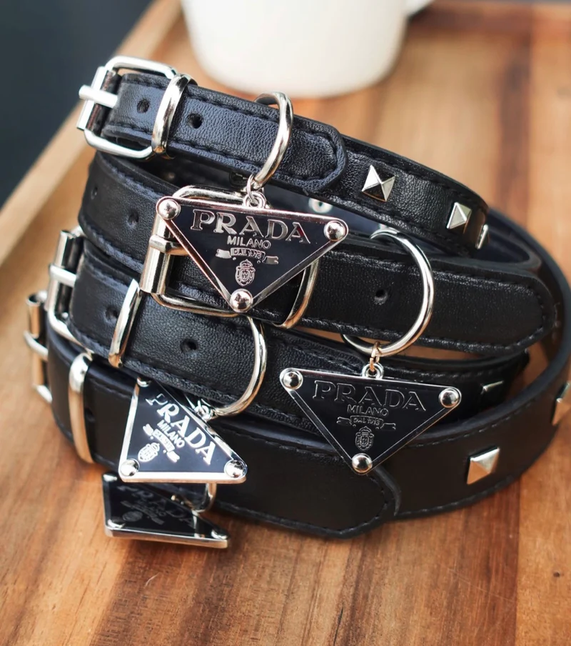 Black Leather Collar