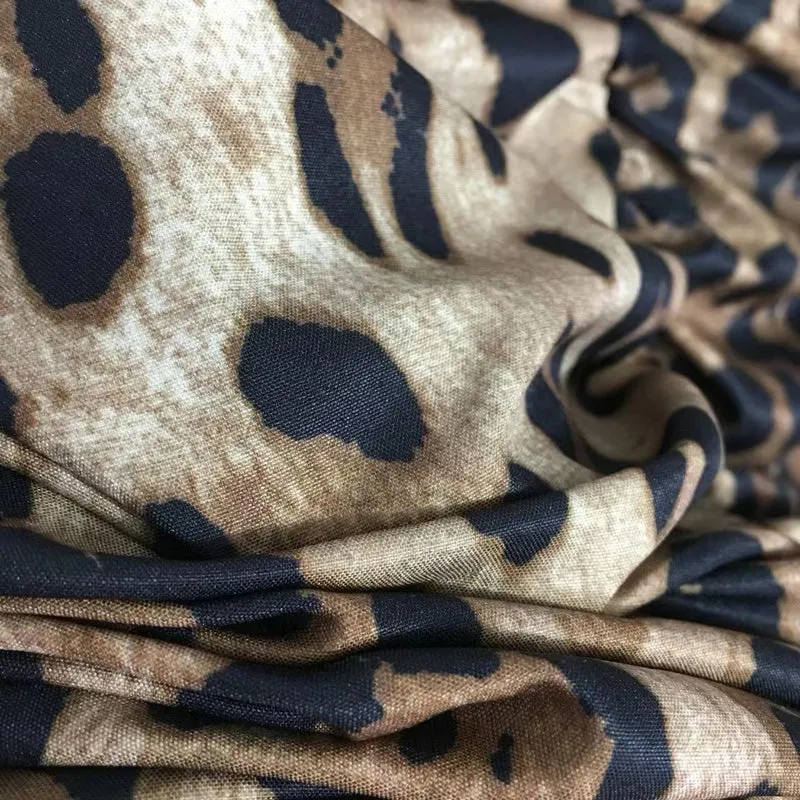 Leopard Print Dress