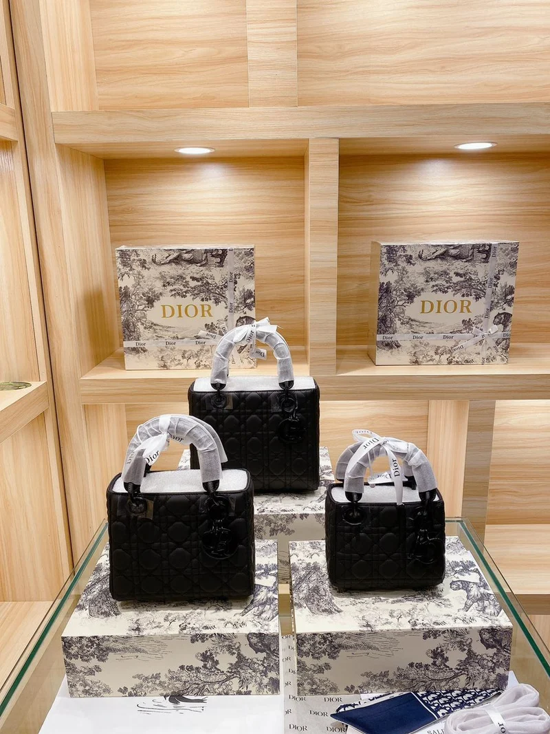Lady Leather Bag