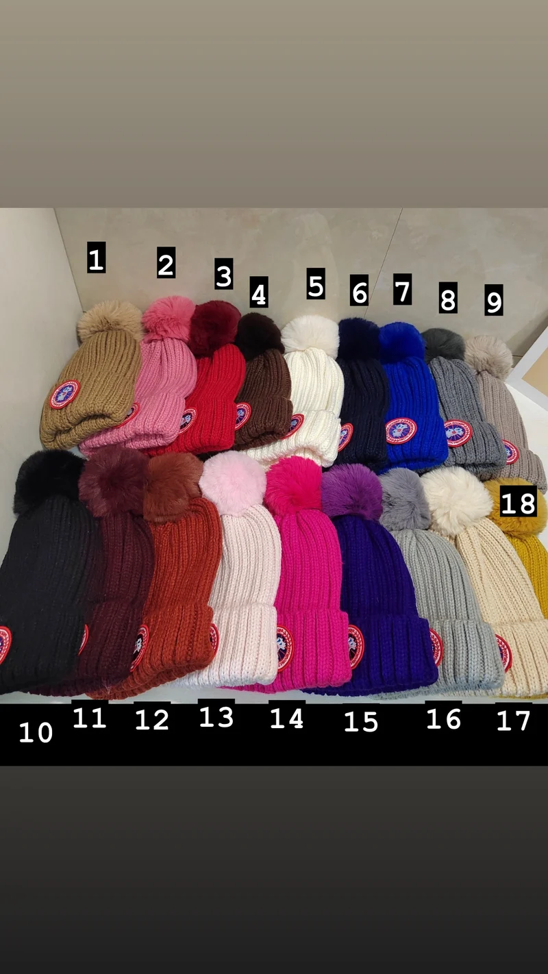 Goose Beanie Hat