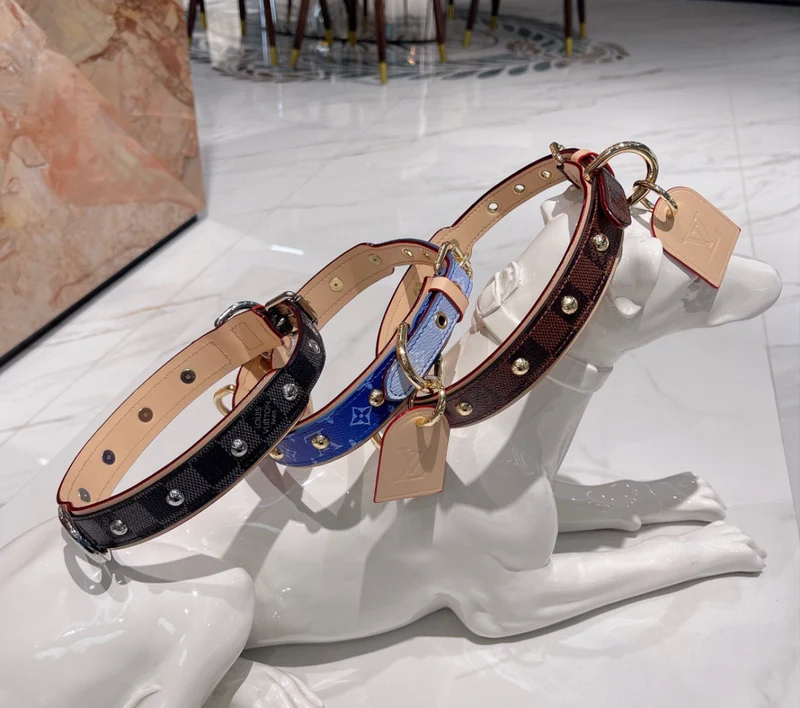 Leather Collar & Lead Set