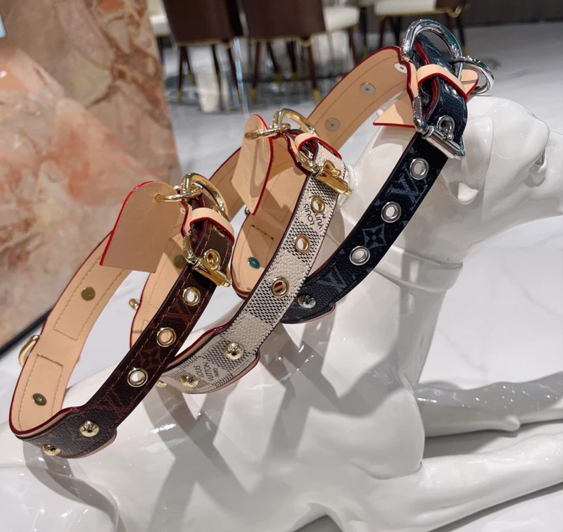 Leather Collar & Lead Set