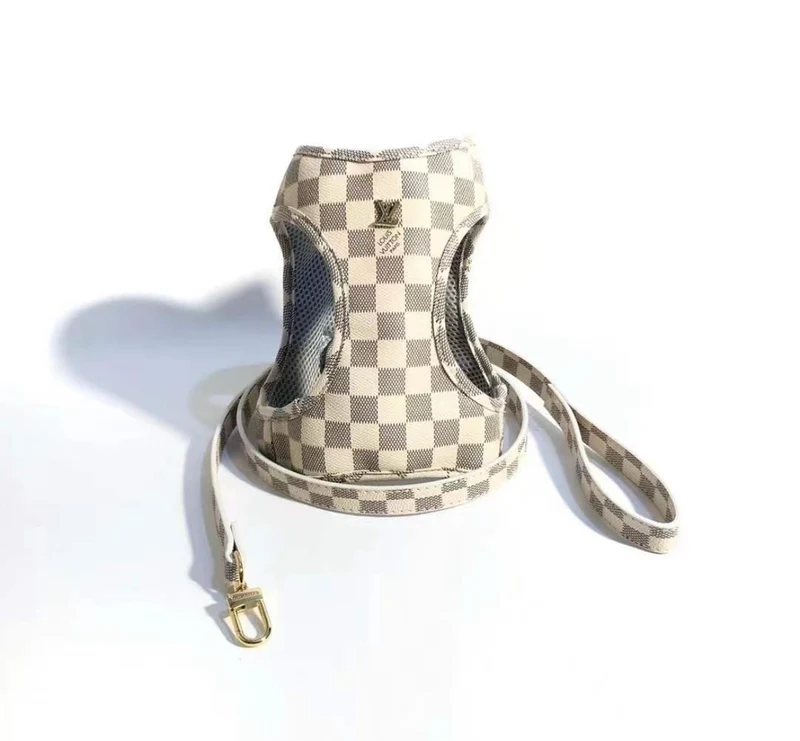Leather Harness & Lead