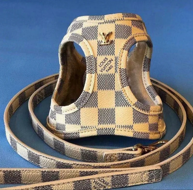 Leather Harness & Lead