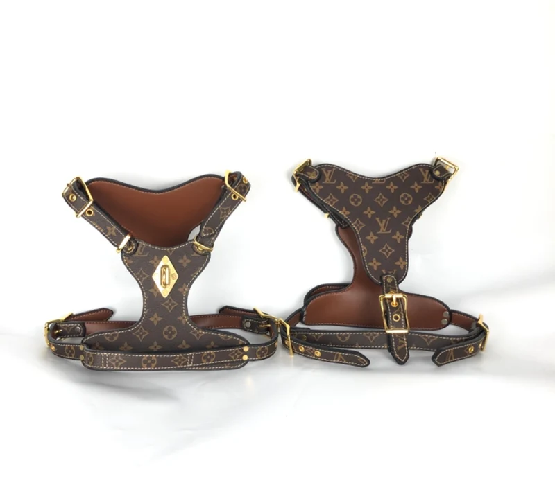 Leather Harness & Lead Set