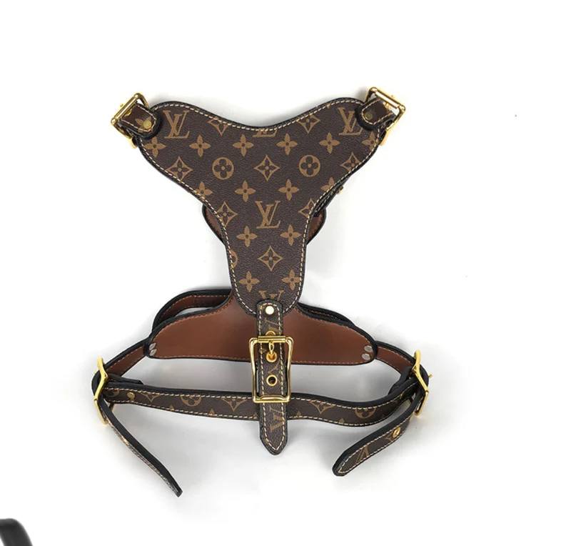 Leather Harness & Lead Set