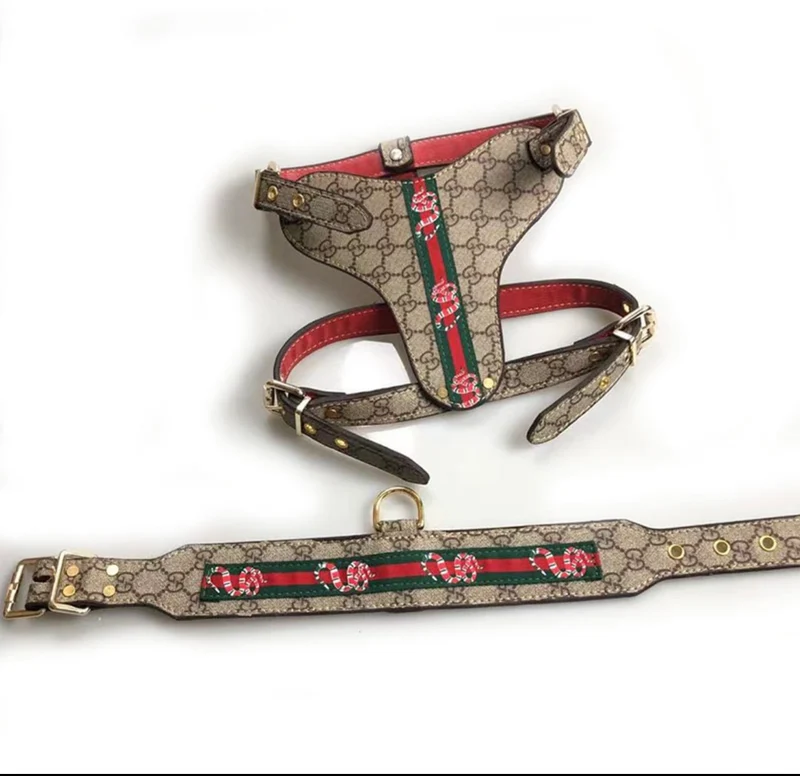 Leather Harness & Lead Set