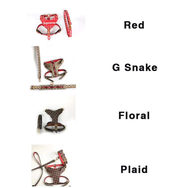 Leather Harness & Lead Set
