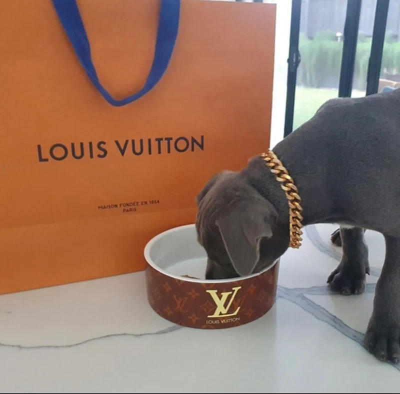 Big Bowl