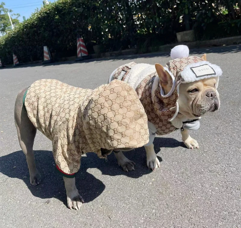 Fluffy Brown Coat With Hood