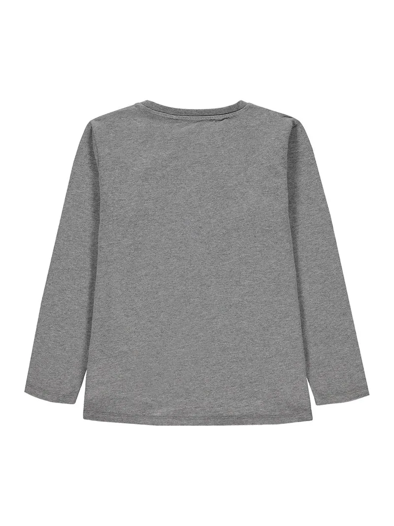 Longsleeve Grau
