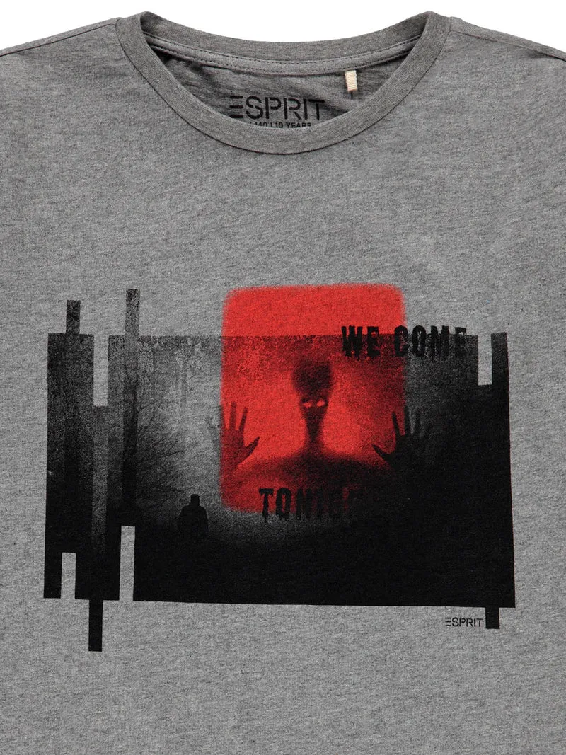Longsleeve Grau