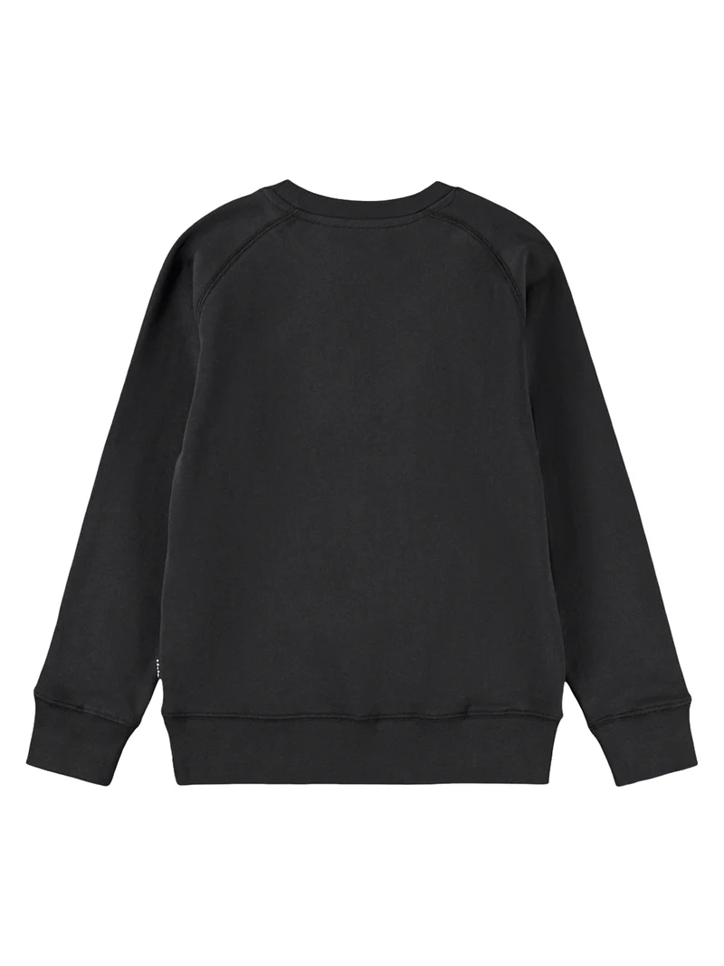 Sweatshirt Mike Schwarz