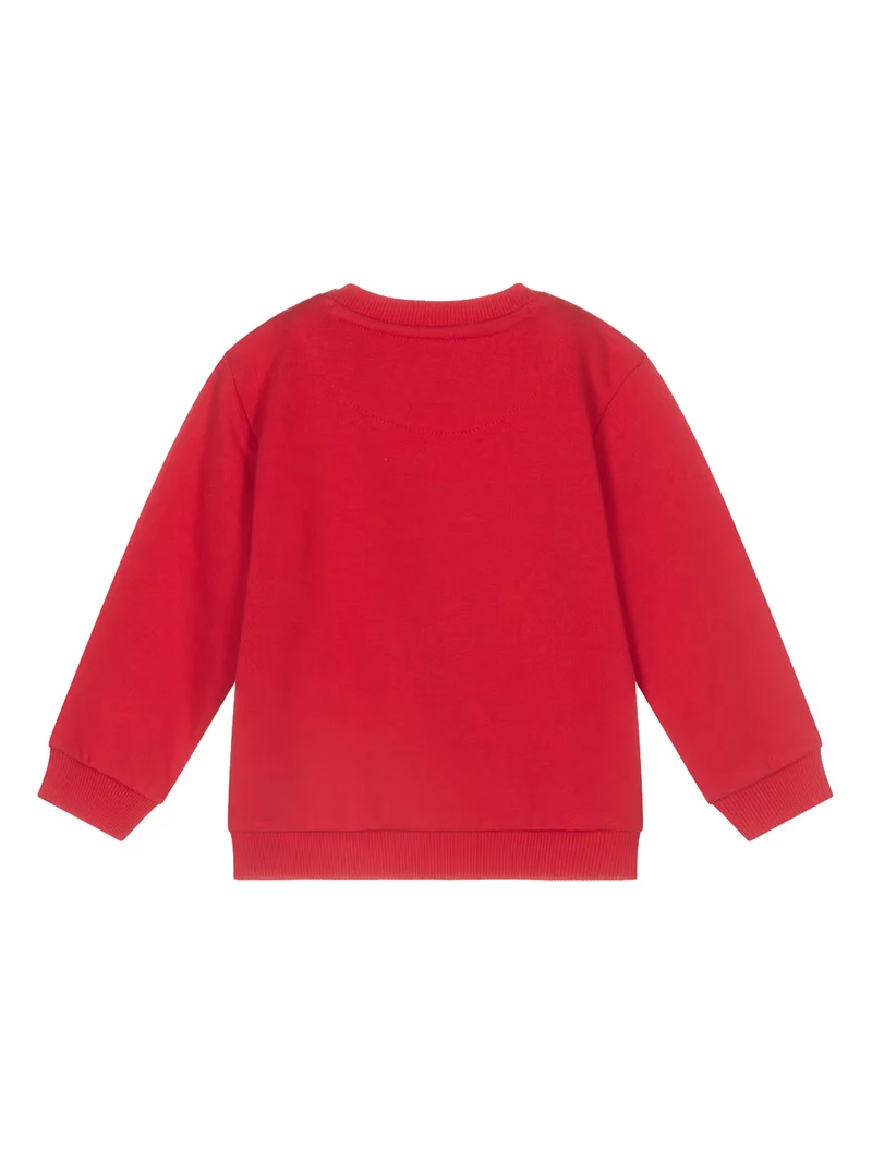 Pullover Rot
