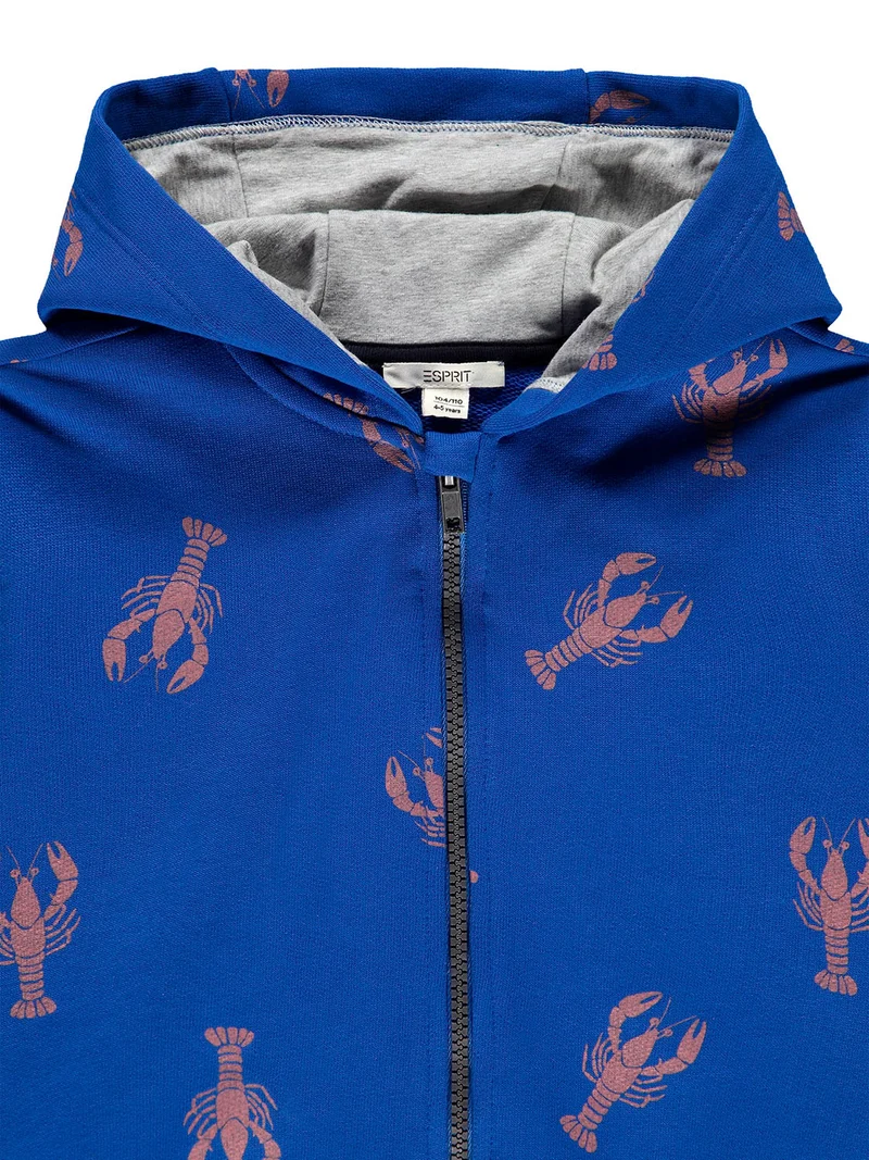 Sweatjacke Blau