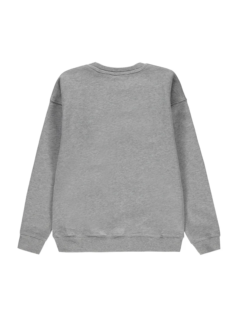 Sweatshirt Grau