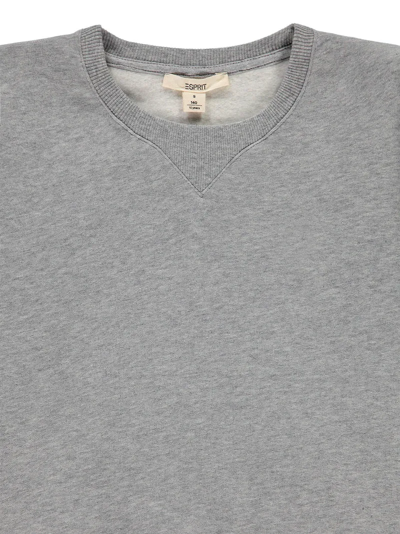 Sweatshirt Grau