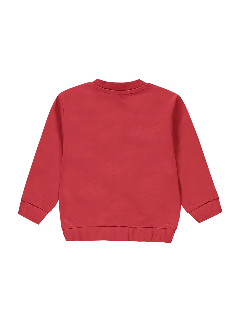 Sweatshirt Rot