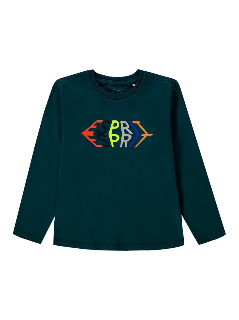 Longsleeve Grün