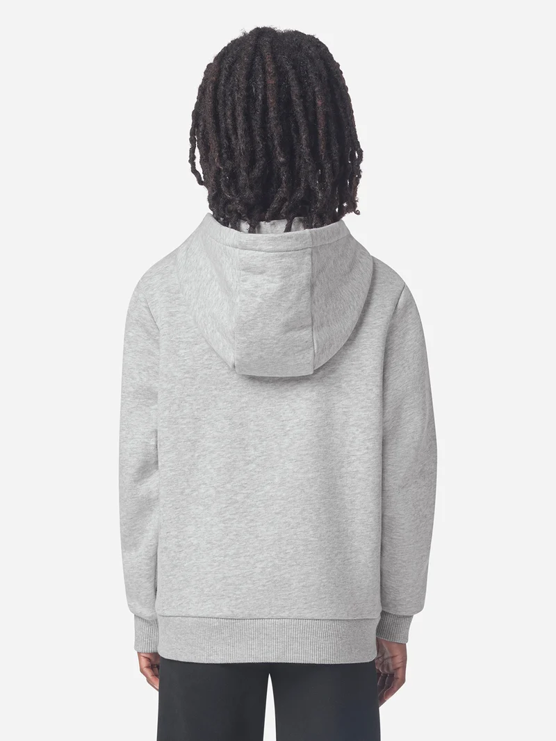 Hoodie Grau