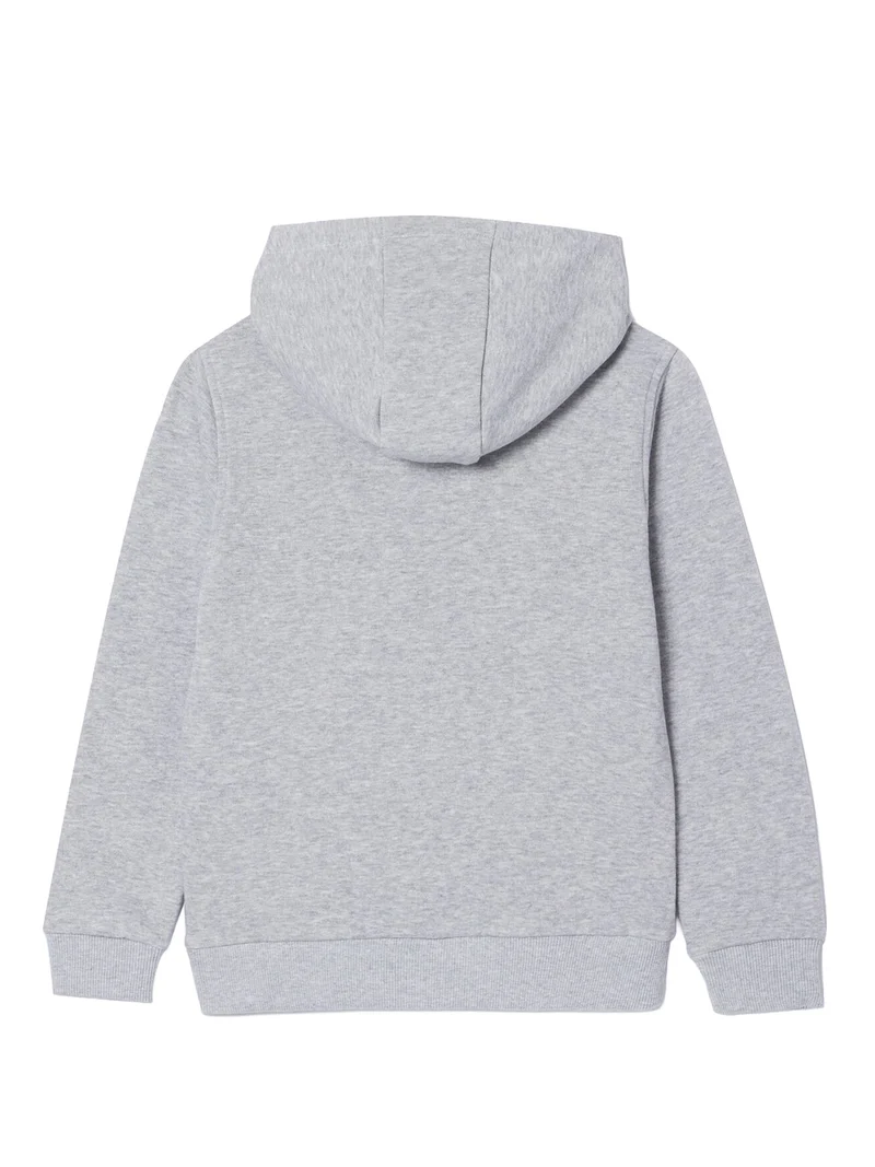 Hoodie Grau