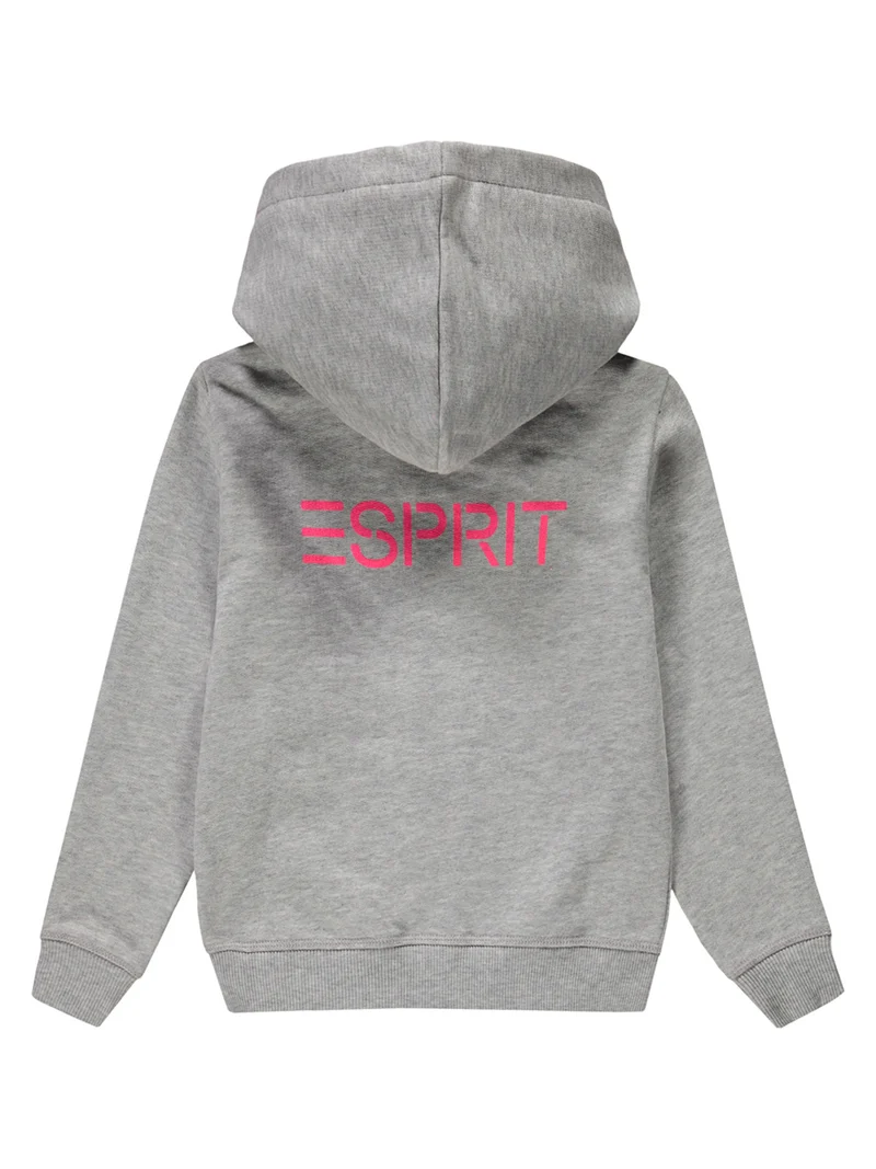 Sweatjacke Grau