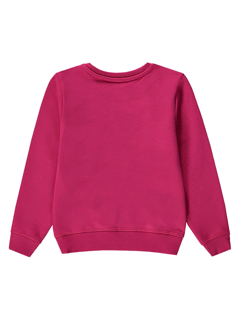 Sweatshirt Pink