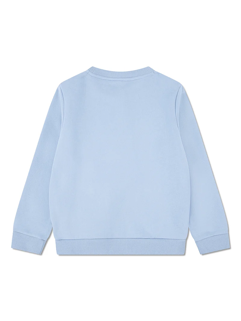 Sweatshirt Hellblau