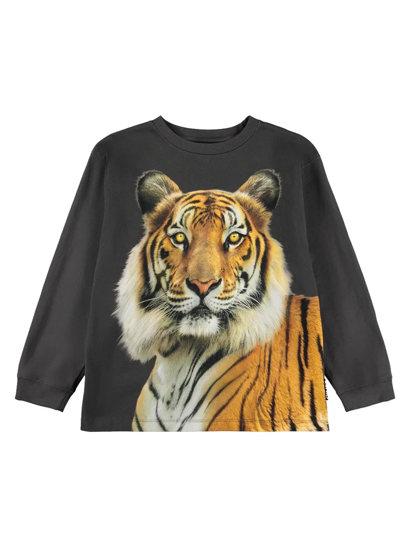 Longsleeve Rube Grau