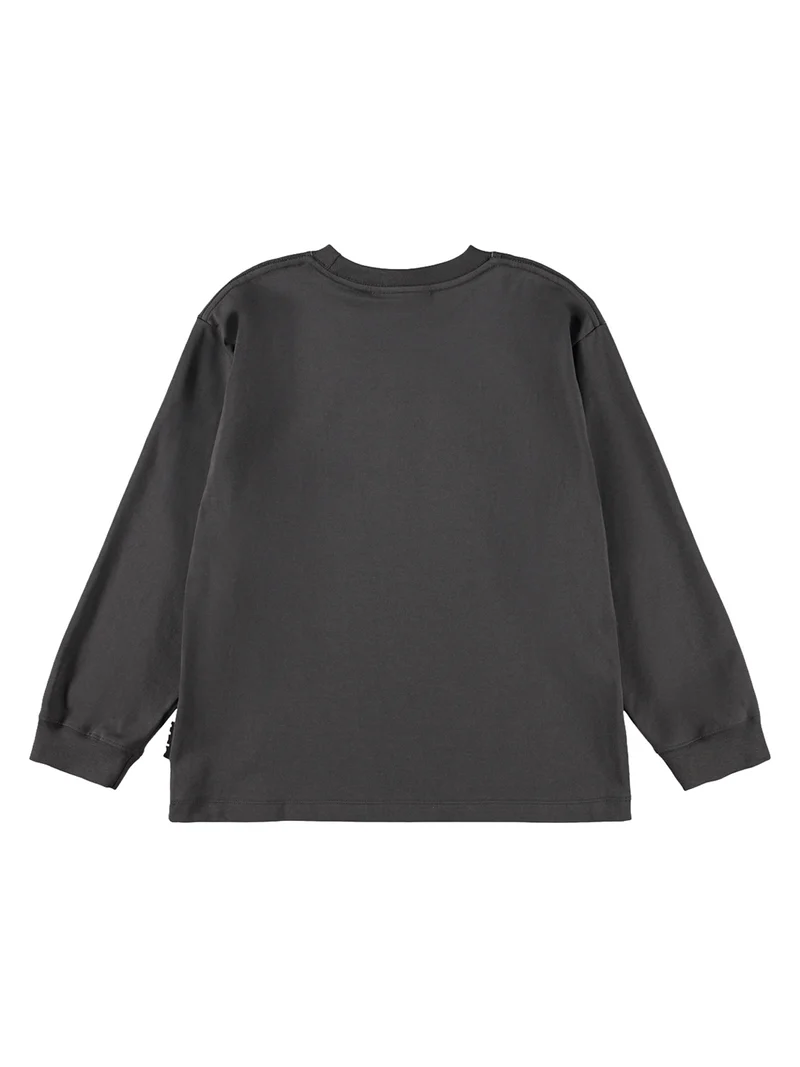 Longsleeve Rube Grau