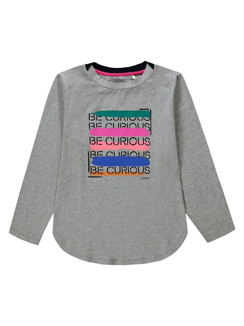 Longsleeve Grau