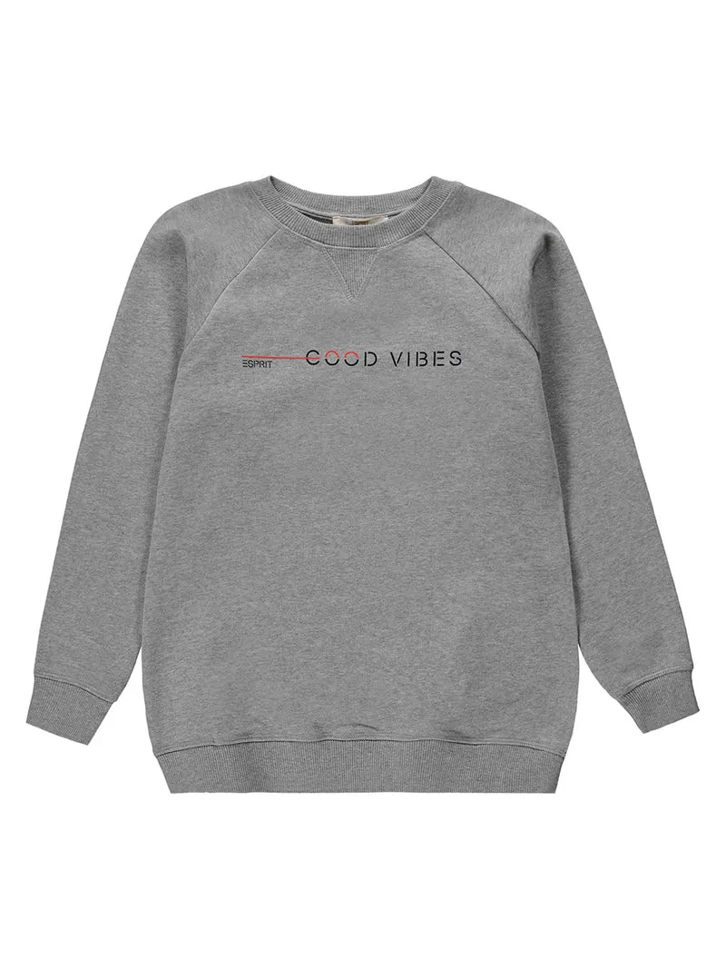 Sweatshirt Grau