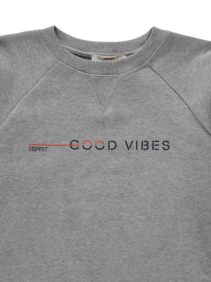 Sweatshirt Grau