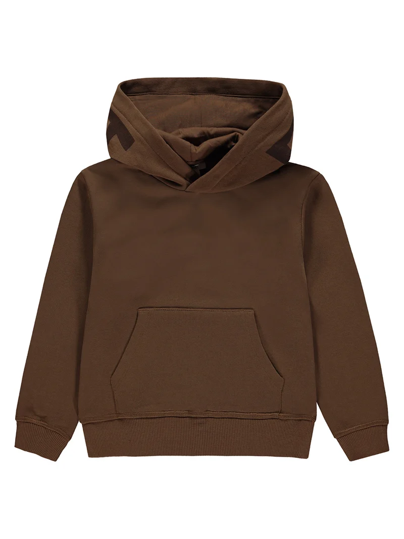 Hoodie Braun