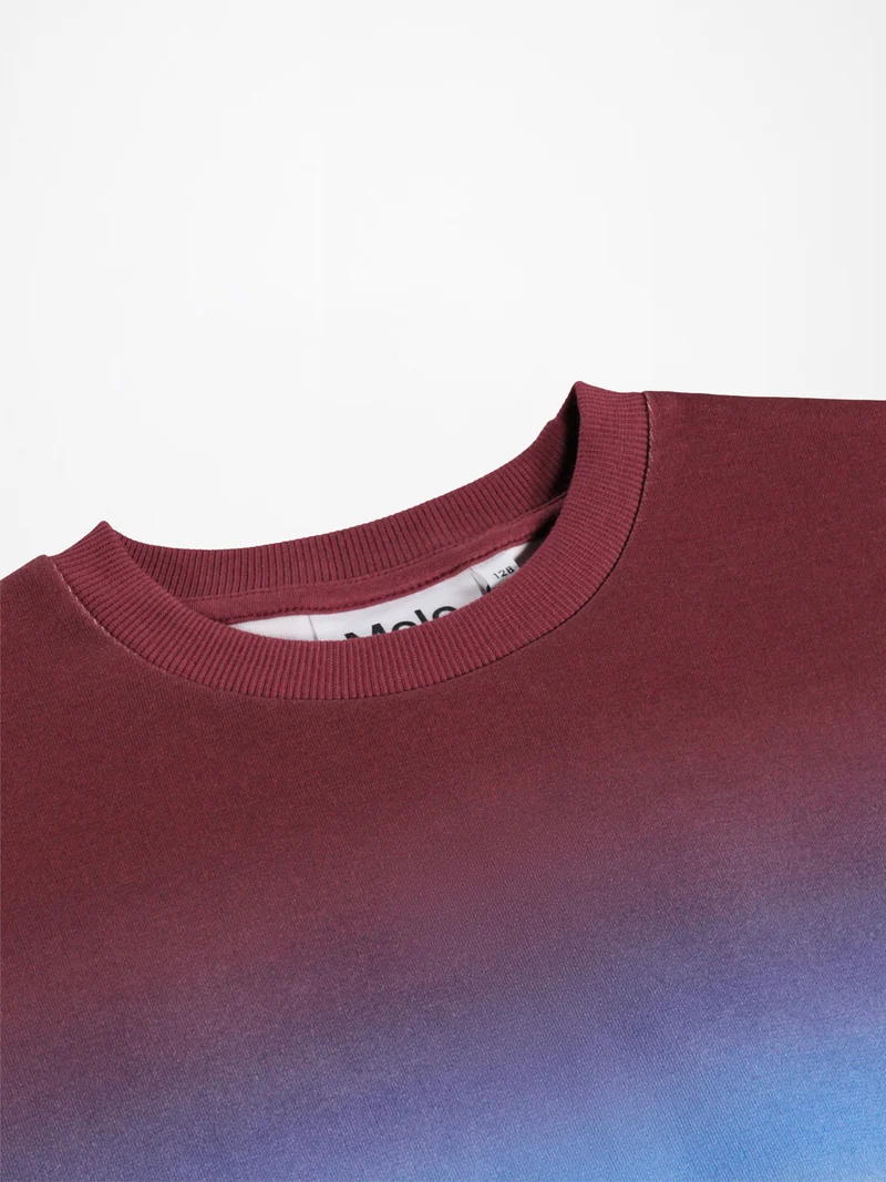 Sweatshirt Miksi Mehrfarbig