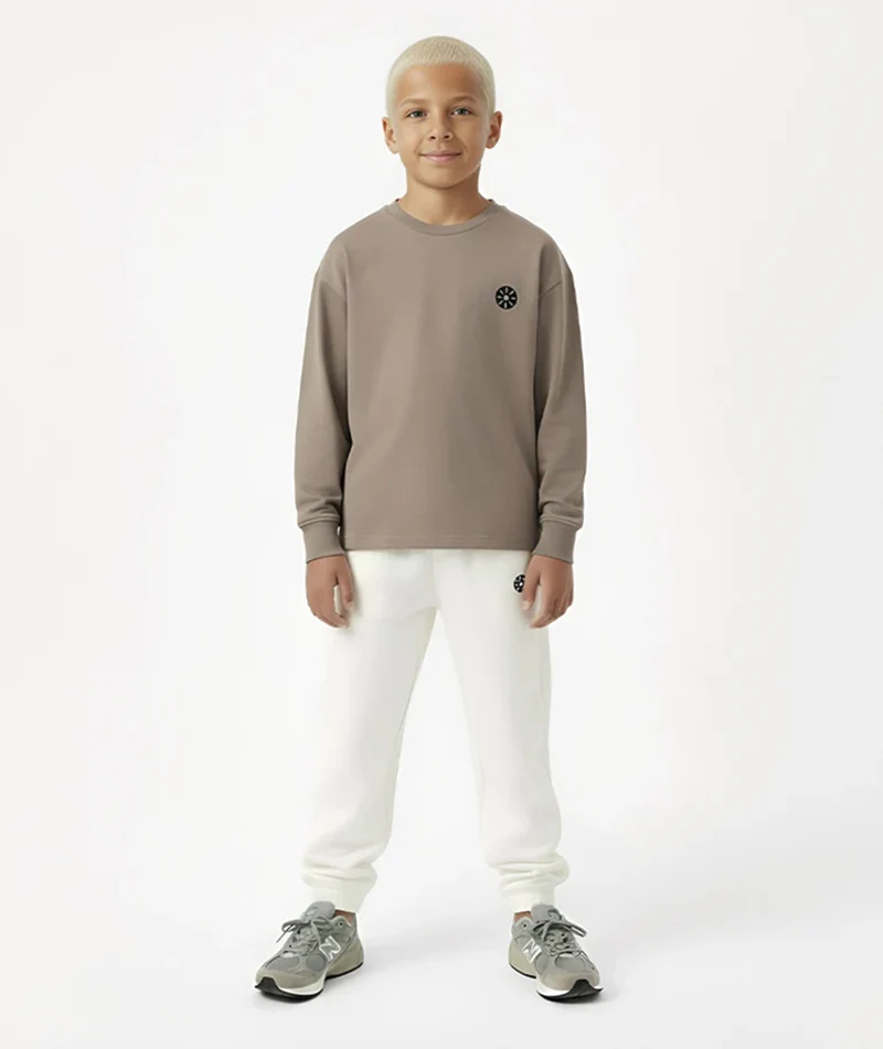 Longsleeve Grau