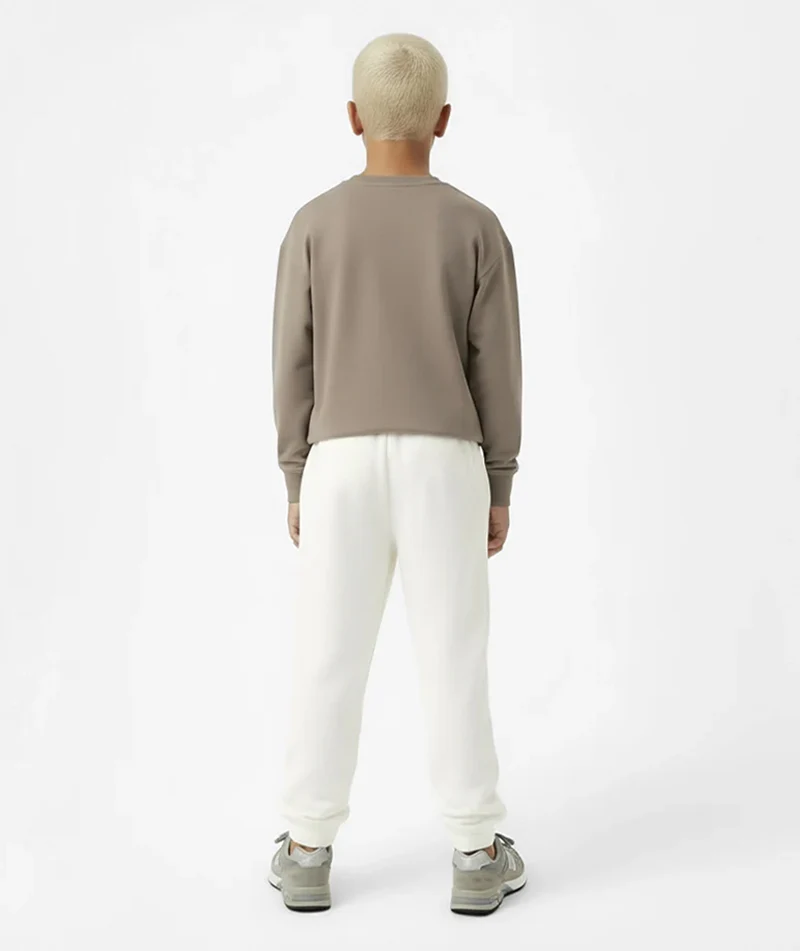 Longsleeve Grau