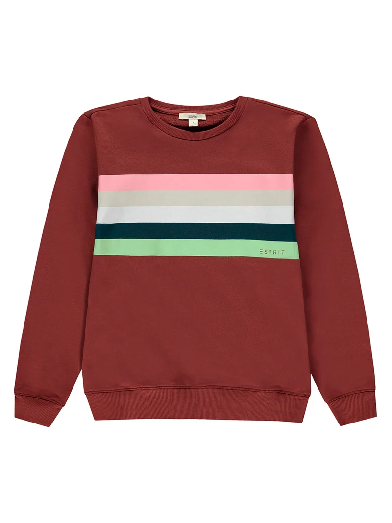 Sweatshirt Braun