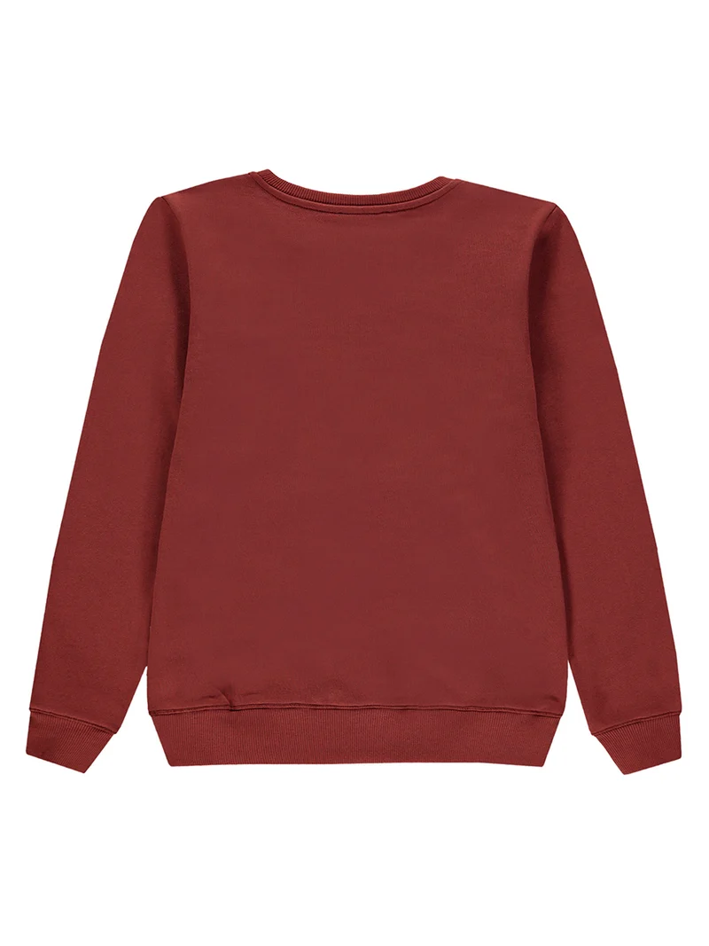 Sweatshirt Braun