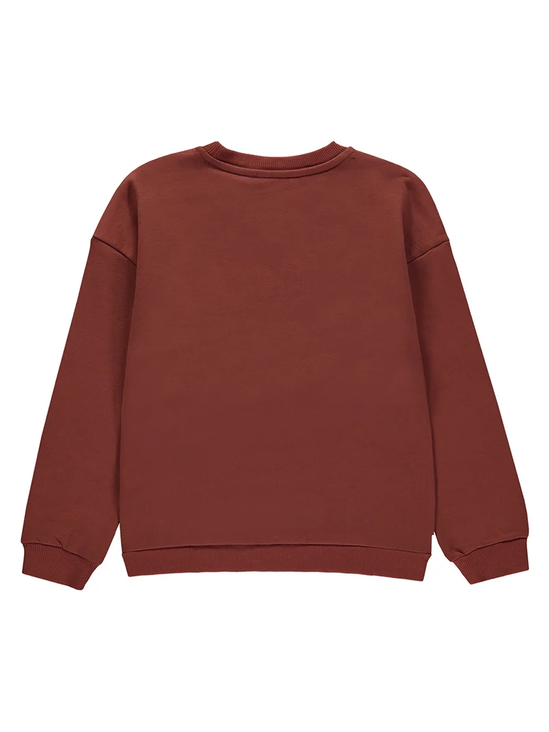 Sweatshirt Braun